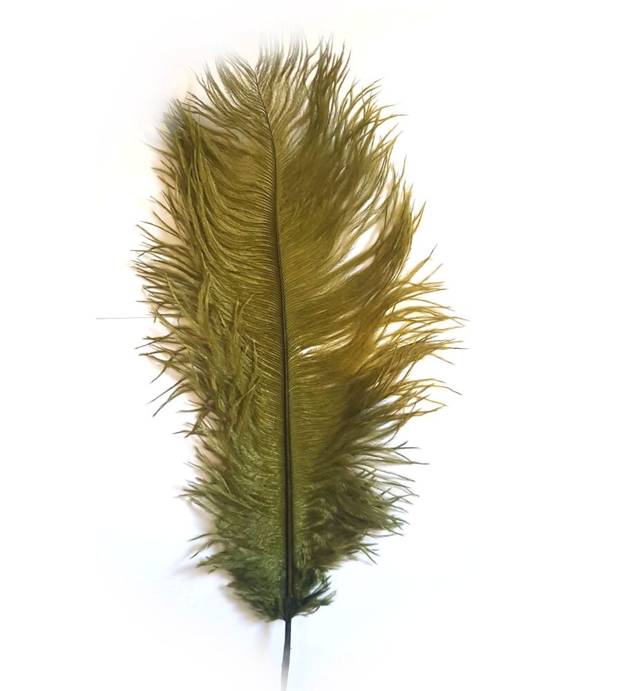 Olive Ostrich Feather &ndash; Seconds Range, 11 to 12 Inches (Single)