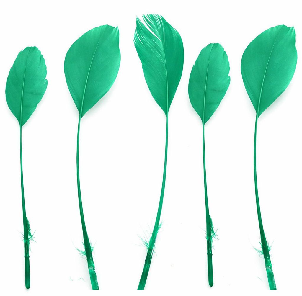 Jade Green Feathers Stripped Coque Style