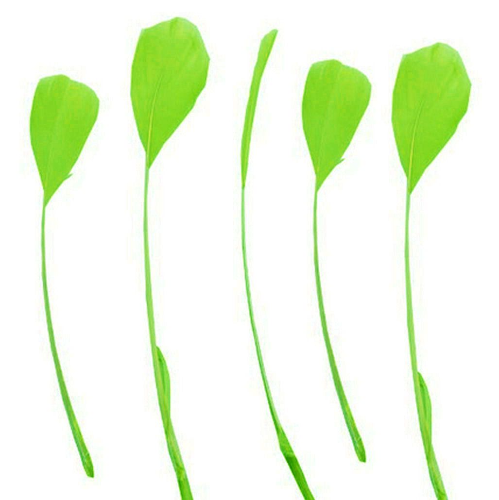 Bright Green Feathers Stripped Coque Style