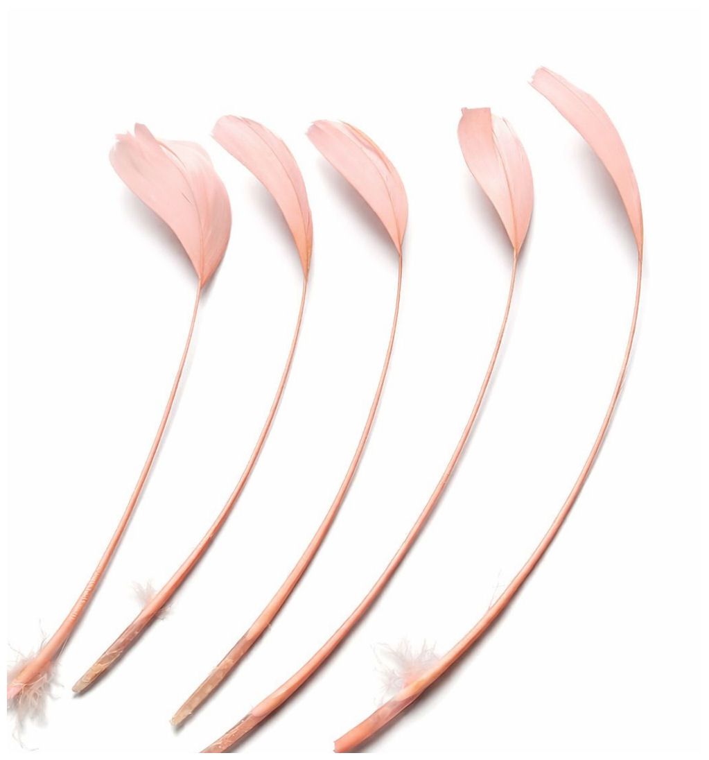 Salmon Pink Feathers Stripped Coque Style