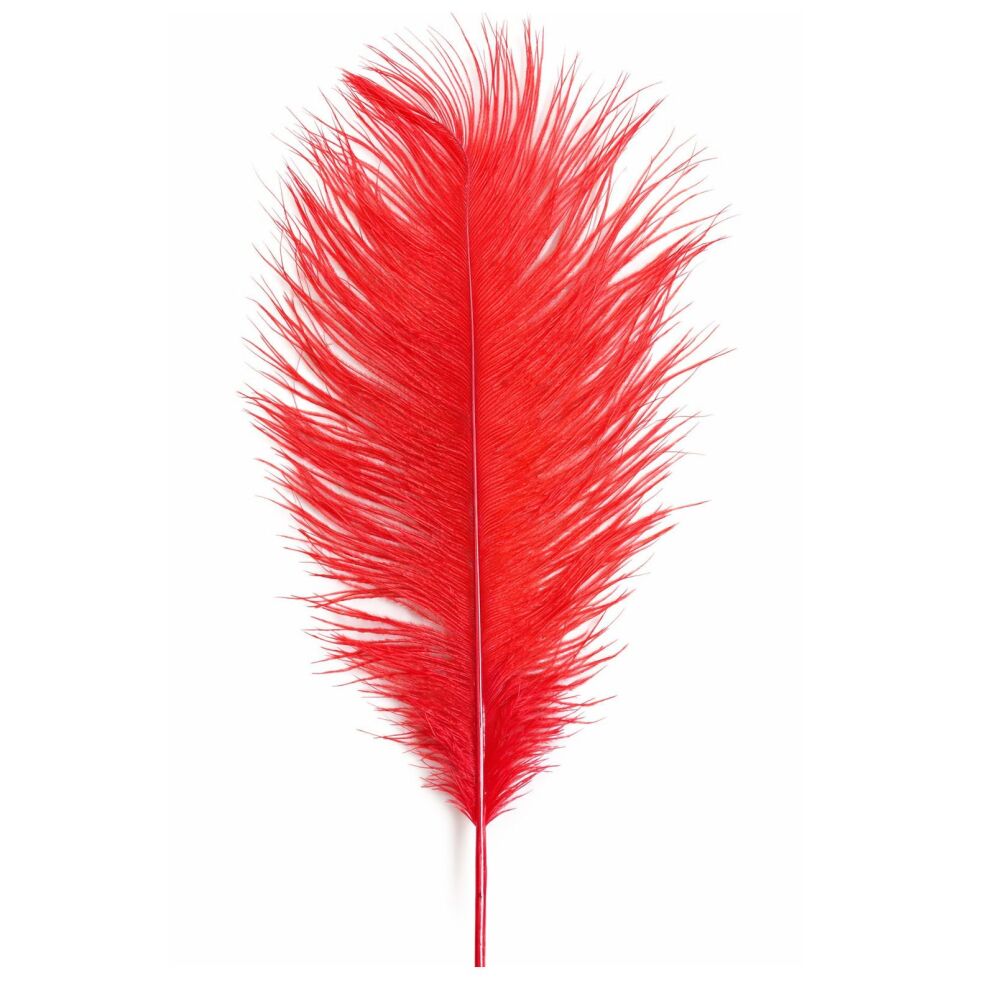 Red Ostrich Feather &ndash; Seconds Range, 11 to 12 inch (Single)