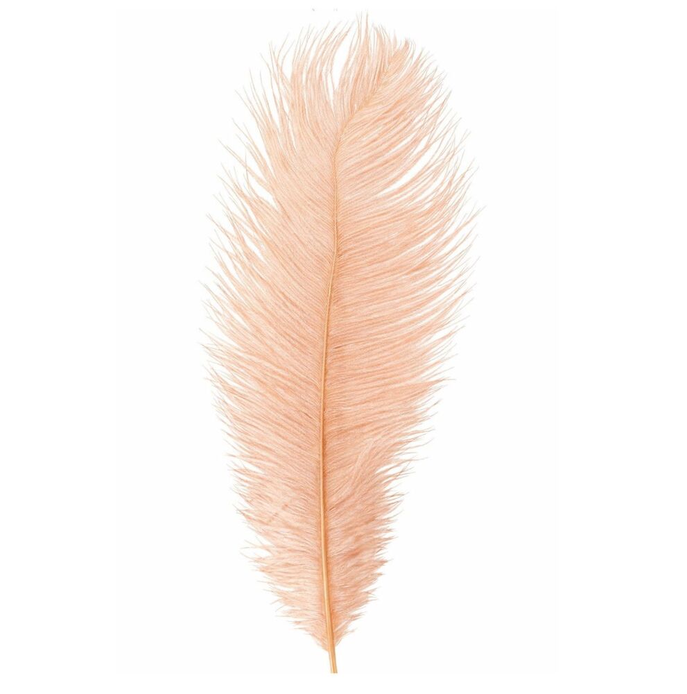 Pink Champagne Ostrich Feather &ndash; Seconds Range, 11 to 12 inch (Single)