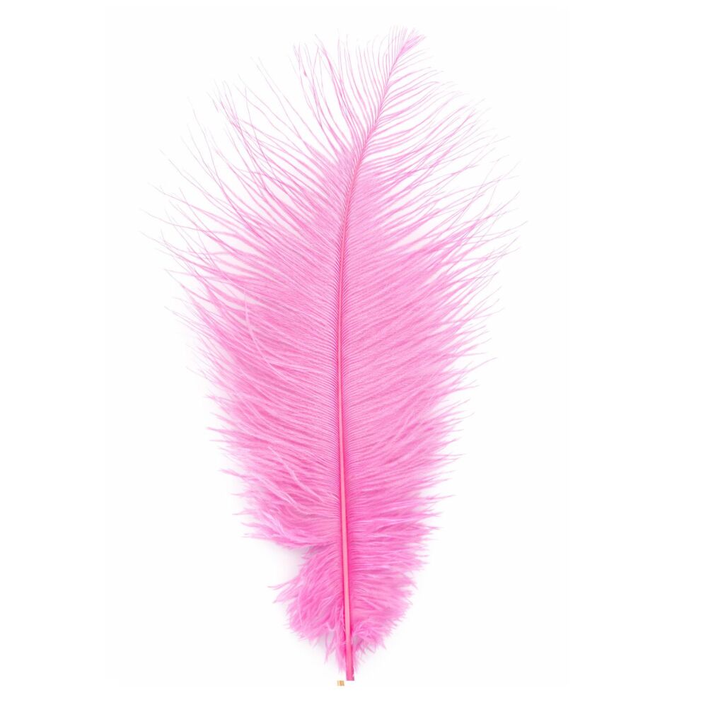 Candy Pink Ostrich Feather &ndash; Seconds Range, 11 to 12 inch (Single)