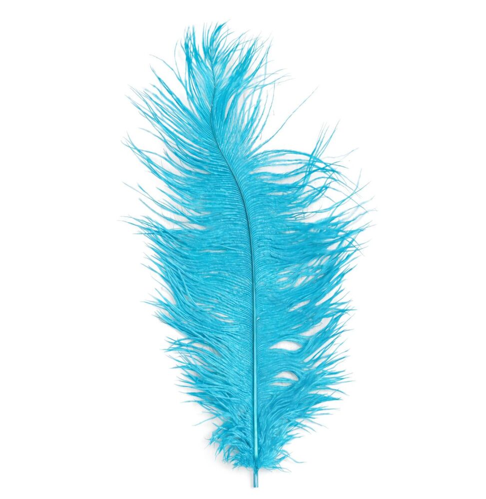 Peacock Teal Blue Ostrich Feather &ndash; Seconds Range, 11 Inches (Single)