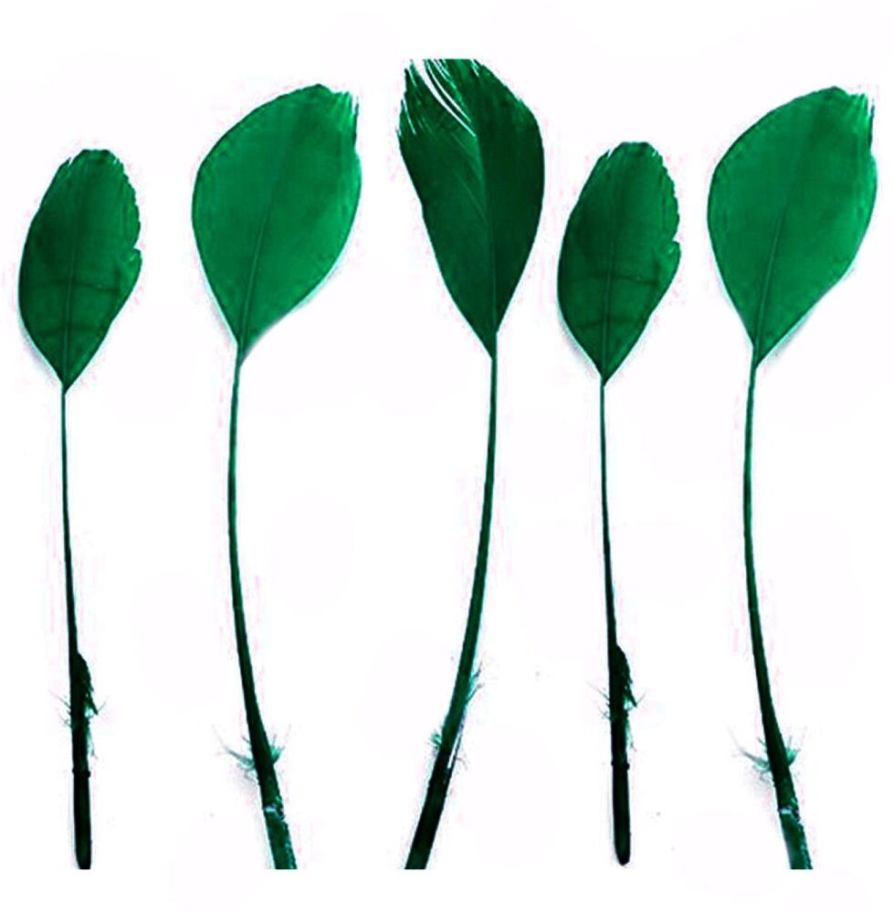 Dark Green Feathers Stripped Coque Style
