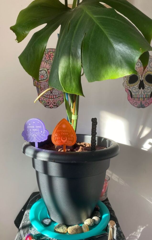 Plant Witch Set Of 3 Plant Markers