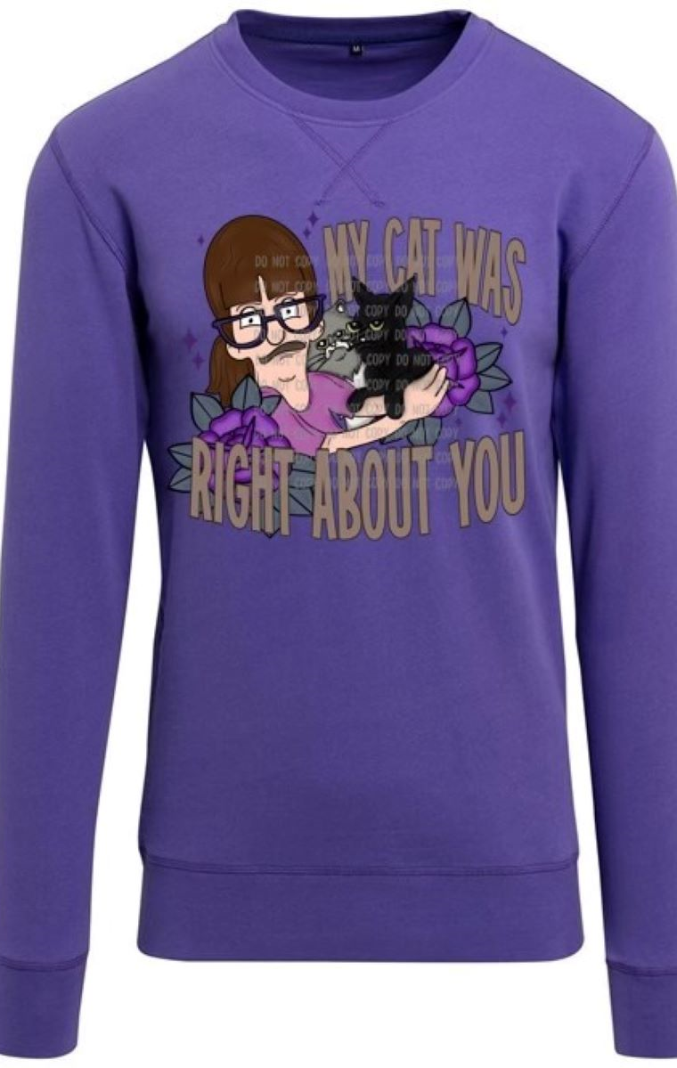 My Cat Was Right About You Hoodie