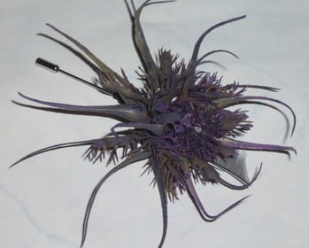 Thistle Pin Buttonhole Scottish Wedding Bridal Prom Evening Wear