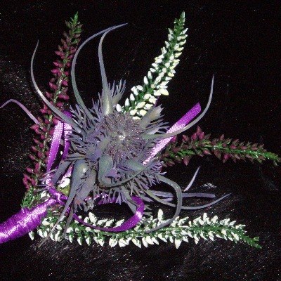 Heather Thistle Buttonhole Scottish Wedding Bridal Prom