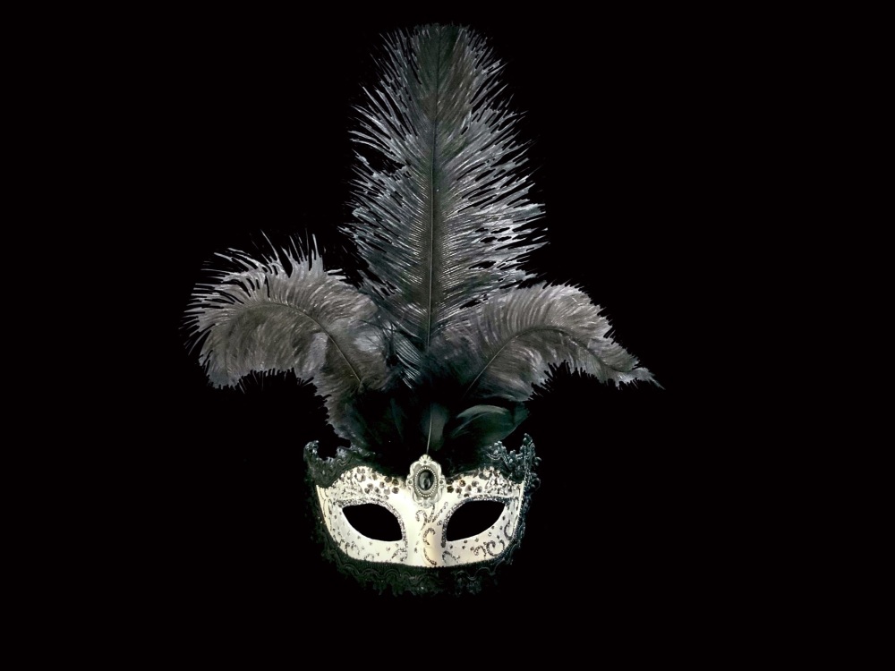Stella Feather Venetian Masquerade Mask - Silver Black