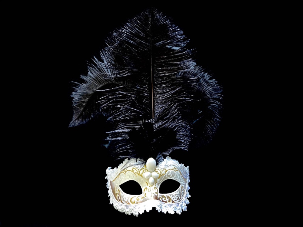 Velluto Ducale Feather Venetian Masquerade Mask - Black