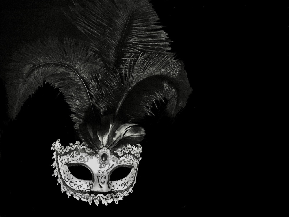 Stella Feather Venetian Masquerade Mask - Silver Black