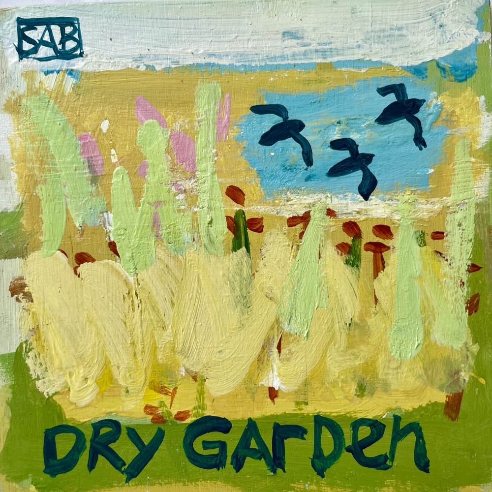 Dry Garden