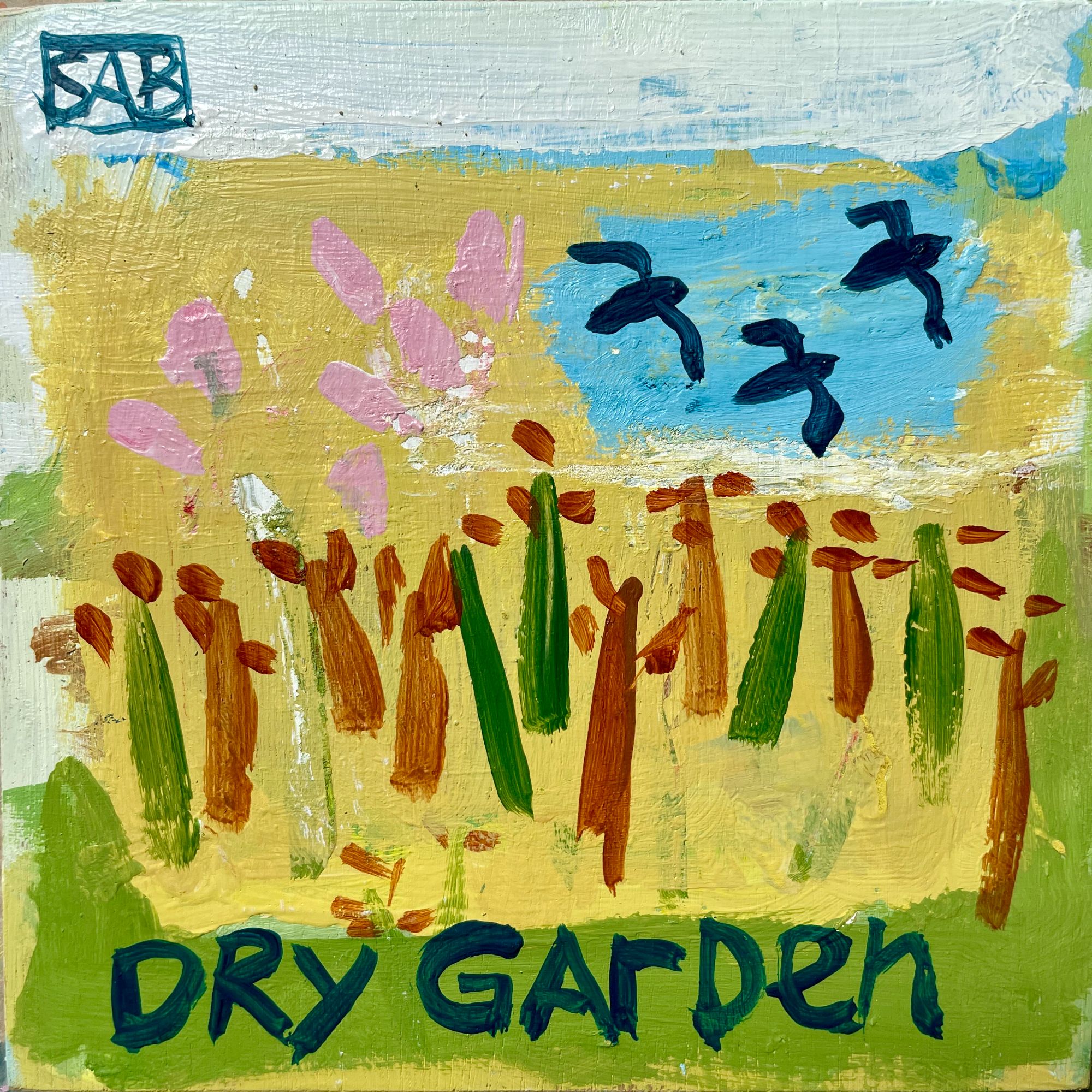 Dry Garden