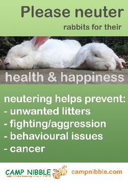 neutering poster