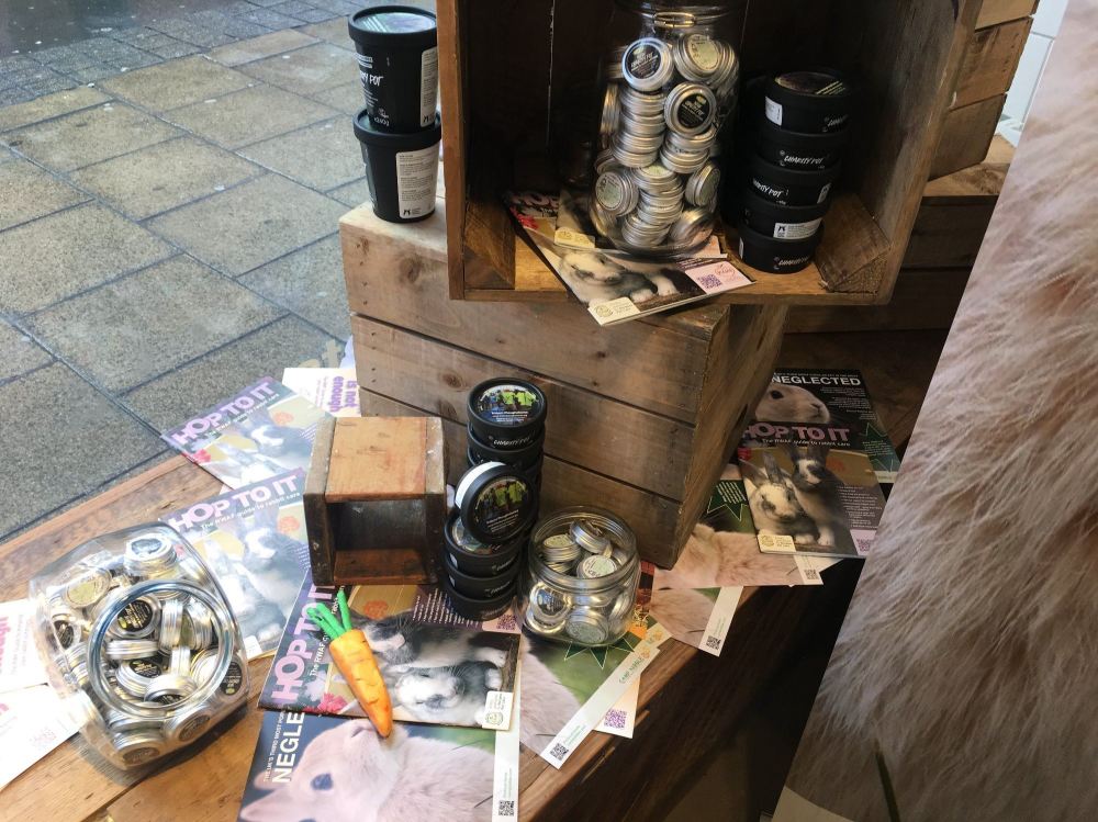lush charity pot party (2)