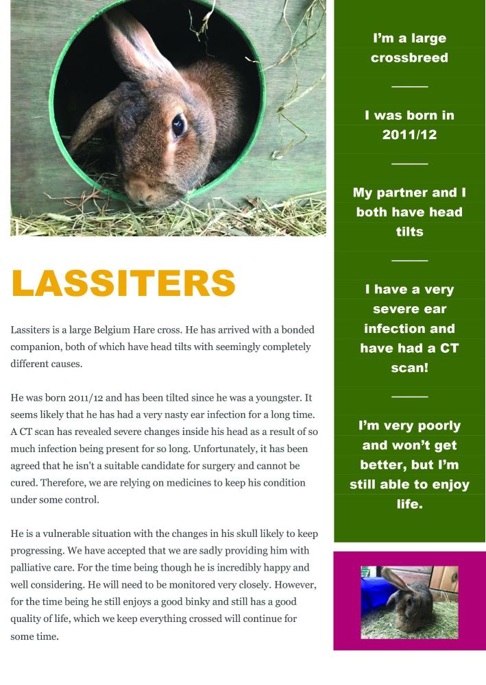 Lassiters - info sheet pdf