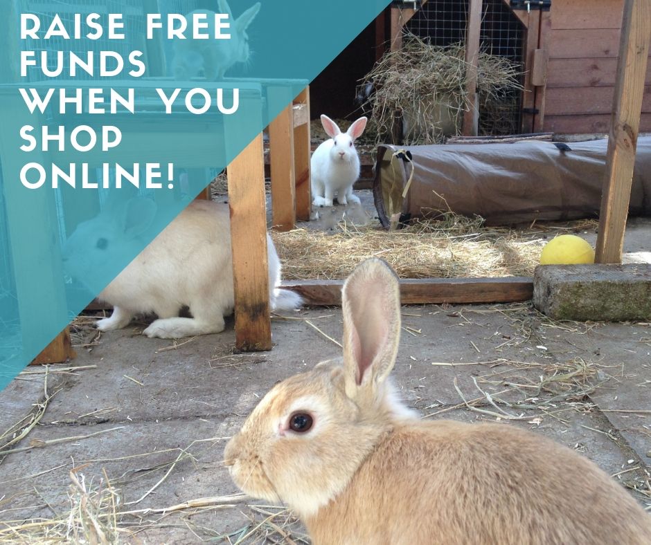 easyfundraising rabbits