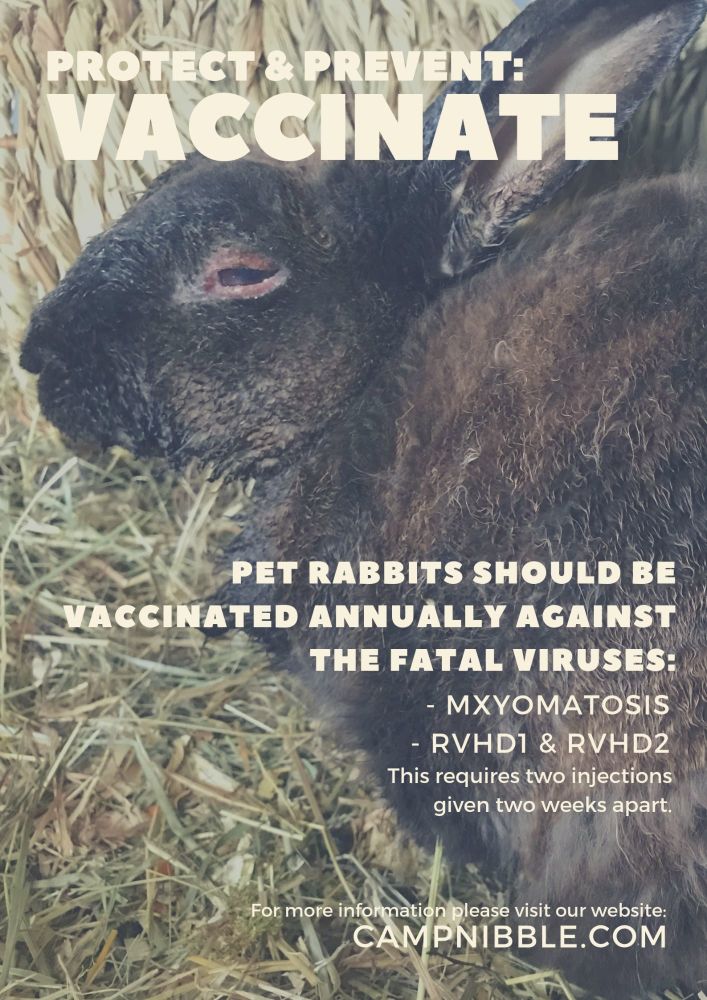 vaccinate poster
