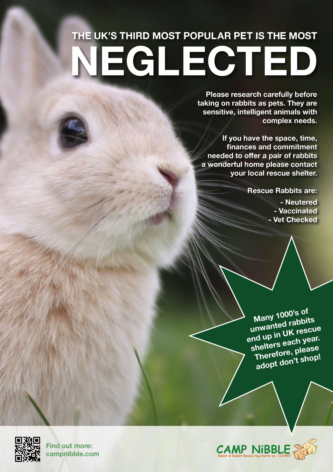 Rabbit Welfare Posters