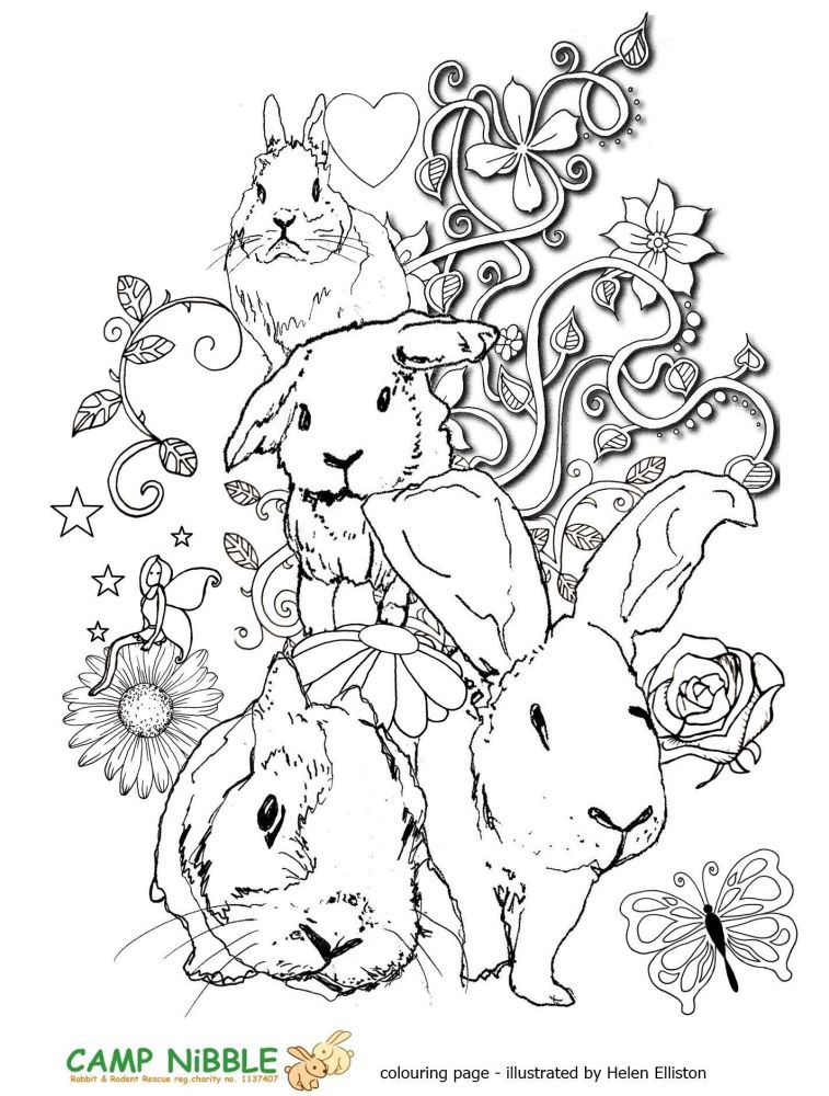 Camp Nibble colouring sheet