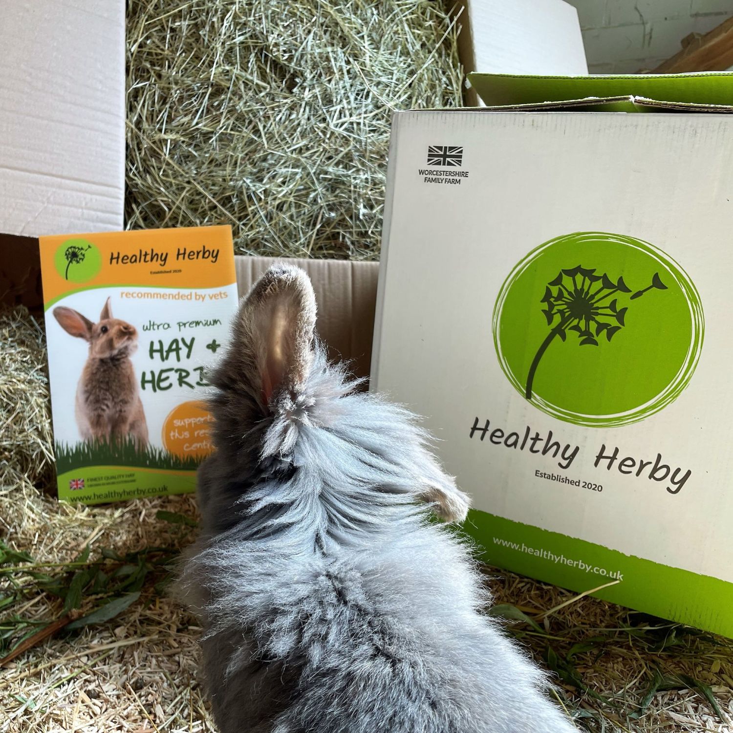 healthy herby