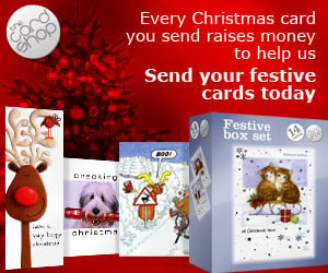 Charity greetings Festive-Banner-300x250