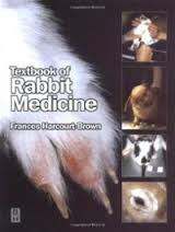 text book of rabbit medicine