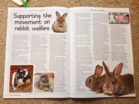 life with pets magazine