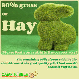 grass and hay poster