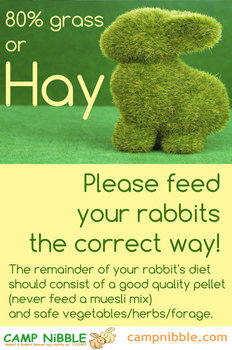 Grass or hay poster 2