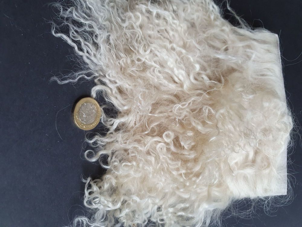 Dirty Blonde Lambs wool for wigging