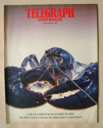 The Sunday Telegraph magazine - Blue Lobster cover (2 June 1985)