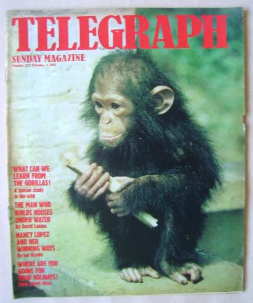 <!--1981-02-01-->The Sunday Telegraph magazine - 1 February 1981
