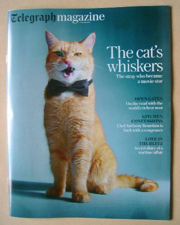 Telegraph magazine - Bob the Cat cover (22 October 2016)
