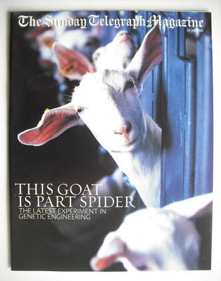 The Sunday Telegraph magazine - This Goat Is Part Spider cover (21 July 2002)