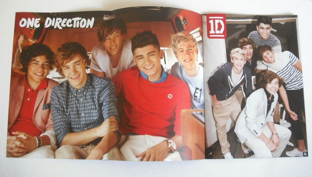 The Official One Direction Poster Book (November 2012)