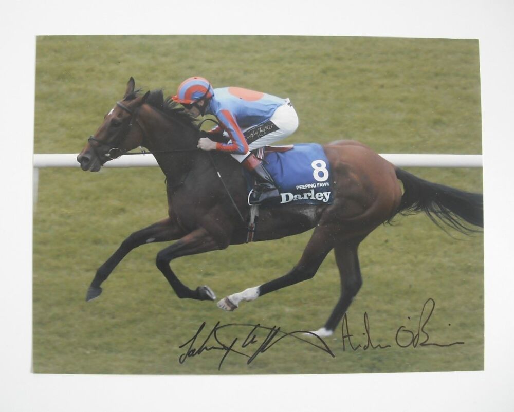 Johnny Murtagh and Aidan O'Brien autographs