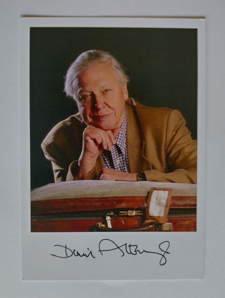 David Attenborough autograph (hand-signed photograph)