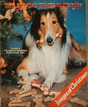 The Sunday Times magazine - Lassie cover (20 December 1981)