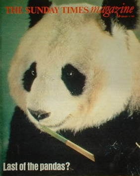 The Sunday Times magazine - Panda cover (14 February 1982)