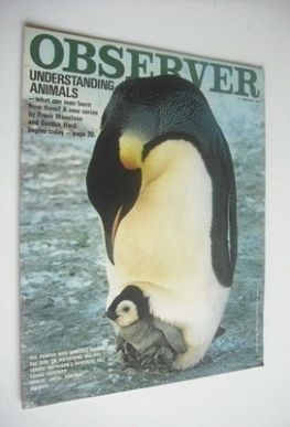 The Observer magazine - Understanding Animals cover (10 January 1971)