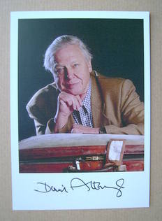 David Attenborough autograph (hand-signed photograph)