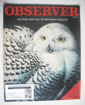 <!--1969-04-06-->The Observer magazine - Britain's Wildlife cover (6 April 