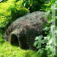 Help hedgehogs with food and a home