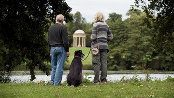 Many National Trust places are dog friendly