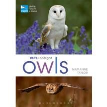 RSPB Spotlight Owls