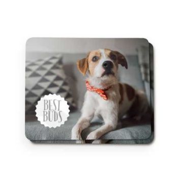 Put a photo of your pet on a photo gift with Snapfish.co.uk