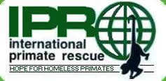 Click here to go to International Primate Rescue