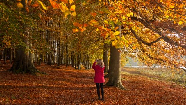 Great ideas of walks for autumn colours Great ideas of walks for autumn colours